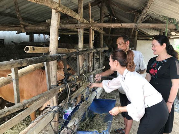 Đại diện ngành LĐ -TB&XH  trao mô hình bò sinh sản tặng thương binh Trương Minh Hồng  (thị trấn M’Đrắk,  huyện M’Đrắk). 