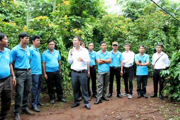 Công ty Simexco Đắk Lắk trao đổi về quy trình xây dựng mô hình cảnh quan sản xuất cà phê hữu cơ bền vững tại thôn Thanh Cao, xã Ea Tân, huyện Krông Năng.