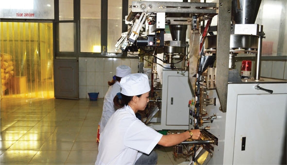 Công nhân làm việc tại xưởng sản xuất cà phê chế biến sâu của Công ty Cổ phần Đầu tư và Phát triển An Thái. 