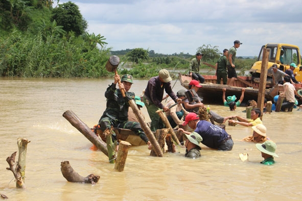 Bộ đội, công an dầm mình giúp dân khắc phục sự cố vỡ đê bao Quảng Điền (huyện Krông Ana)  vào tháng 8-2019. 
