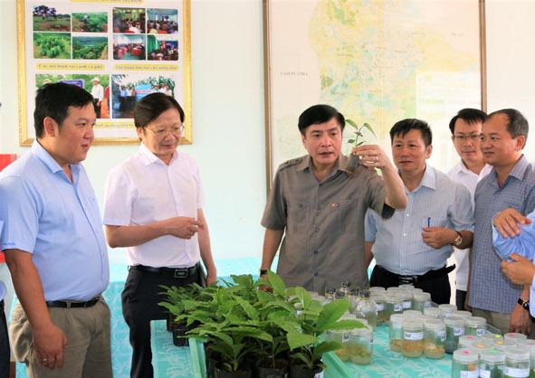 Ủy viên Trung ương Đảng, Bí thư Tỉnh ủy Bùi Văn Cường tìm hiểu về mô nuôi cấy cà phê  tại Viện  Khoa học - Kỹ thuật nông lâm nghiệp Tây Nguyên.
