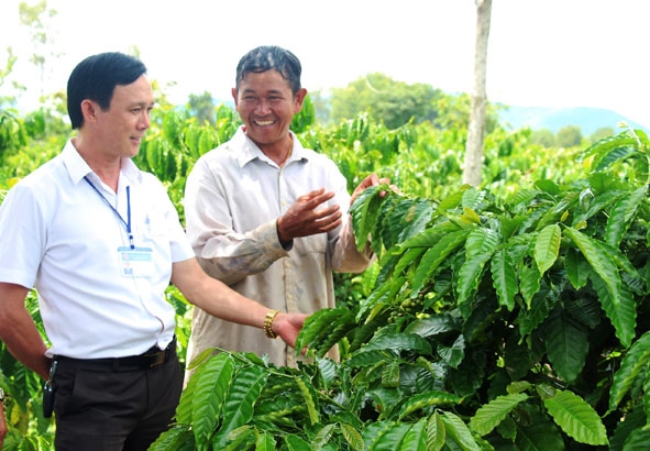 Cán bộ Hội Nông dân xã Tân Tiến tham quan vườn cây trồng xen  của gia đình ông Y Biêng Niê (bên phải).   
