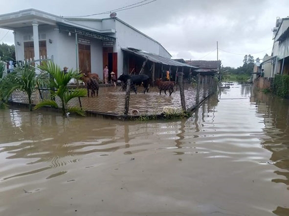 Nhiều tuyến đường trên địa bàn xã Khuê Ngọc Điền (huyện Krông Bông) bị ngập nặng.   