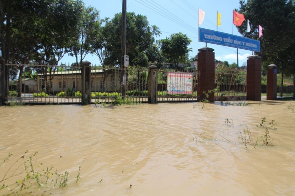 Trường Tiểu học Y Ngông (Điểm trường buôn Krông) bị ngập nước.