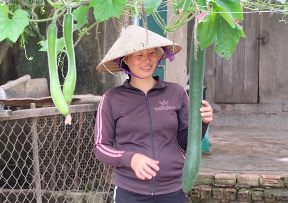 Chị Lã Thị Thanh Tuyền chăm sóc cây trồng của gia đình.