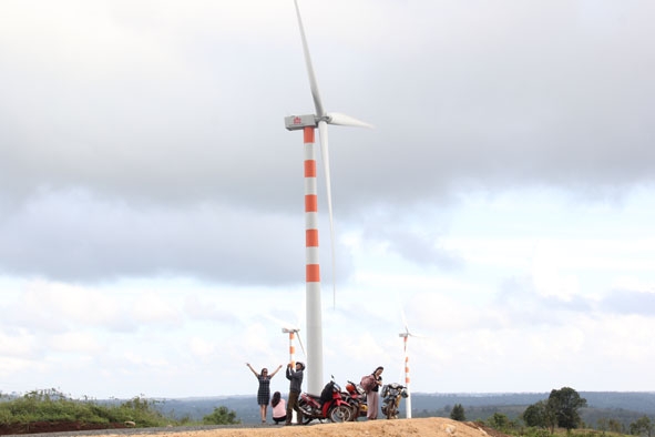 Hệ thống cột gió của Dự án Trang trại phong điện Tây Nguyên. 