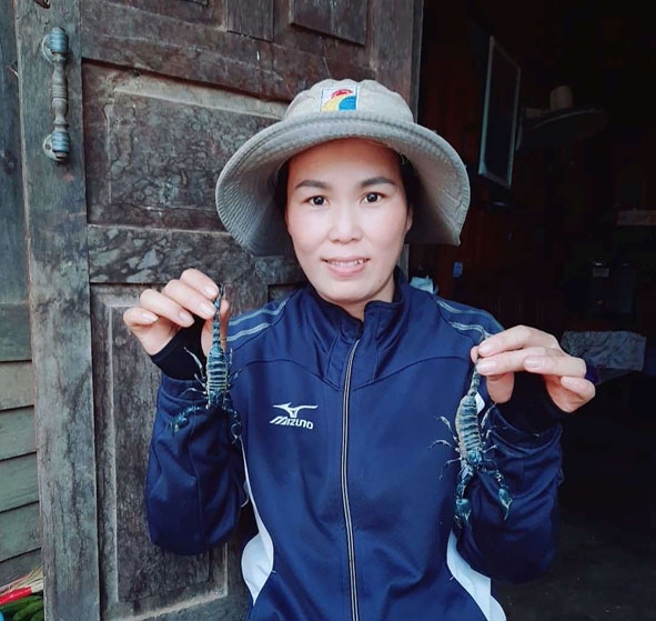Chị Lưu Thị Loan cùng những con bọ cạp núi vừa đi “săn” về. 