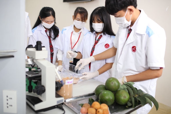 Nhóm học sinh Trường Tiểu học, THCS và THPT Hoàng Việt nghiên cứu sản phẩm ống hút từ hạt bơ.