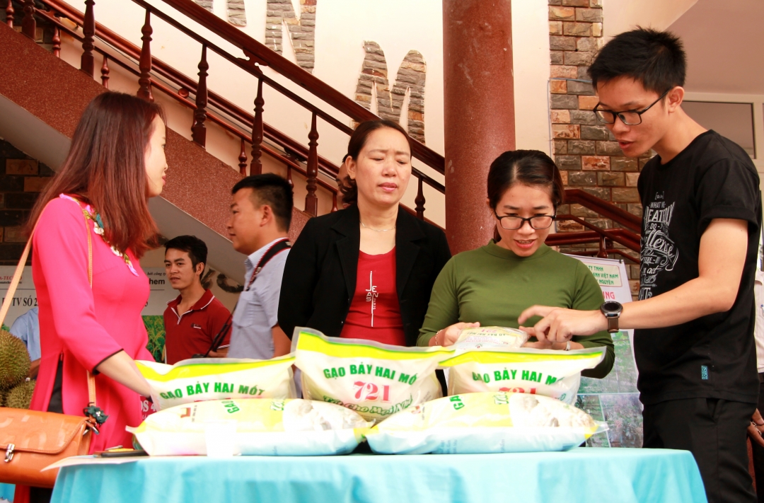 Công ty TNHH MTV Cà phê 721 đưa sản phẩm “Gạo 721 - Tốt cho mọi nhà” đi giới thiệu tại các hội chợ, triển lãm 
