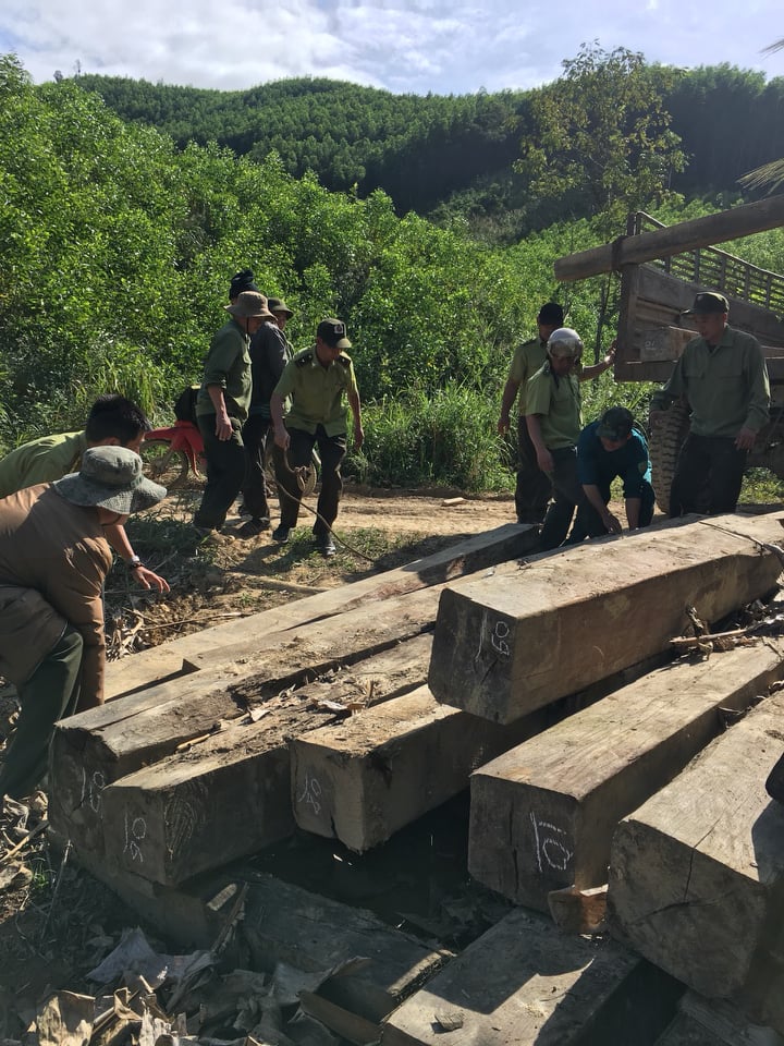 Lực lượng chức năng huyện Krông Bông đang xử lý một bãi gỗ tập kết trái phép tại xã Cư Đrăm được phát hiện vào tháng 1-2021