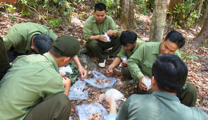 Một bữa cơm đạm bạc giữa rừng của những nhân viên quản lý bảo vệ rừng thuộc Công ty TNHH MTV Lâm nghiệp Krông Bông