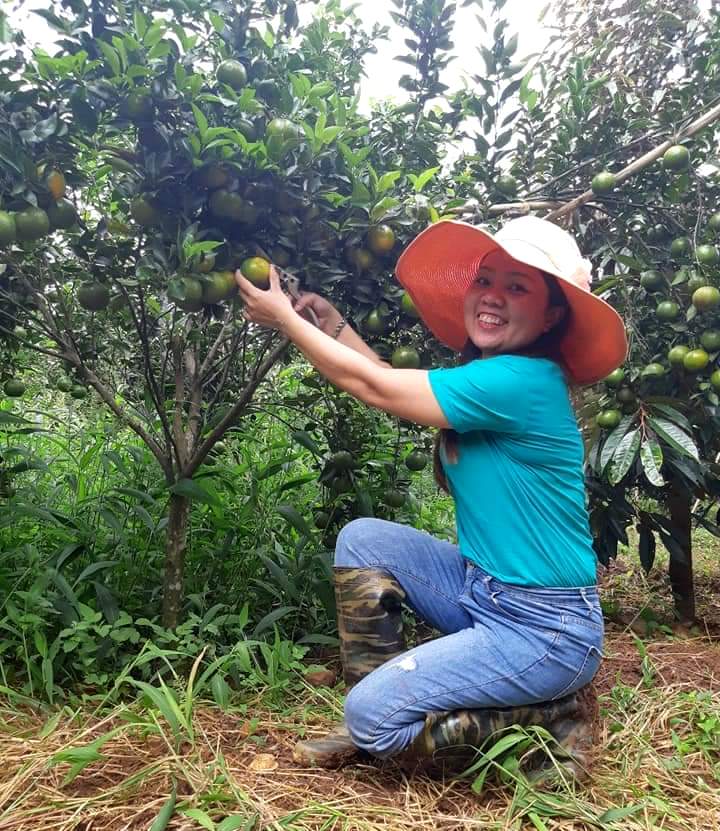Du khách tham quan vườn cây ăn quả của gia đình chị Võ Thị Kim Khánh.
