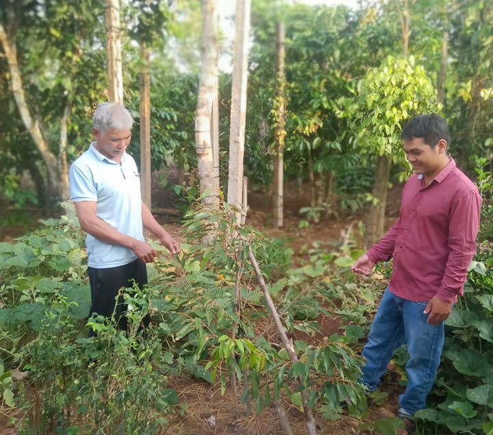 Y Soa Mlô (bên phải) hướng dẫn người dân kỹ thuật chăm sóc cây trồng. 