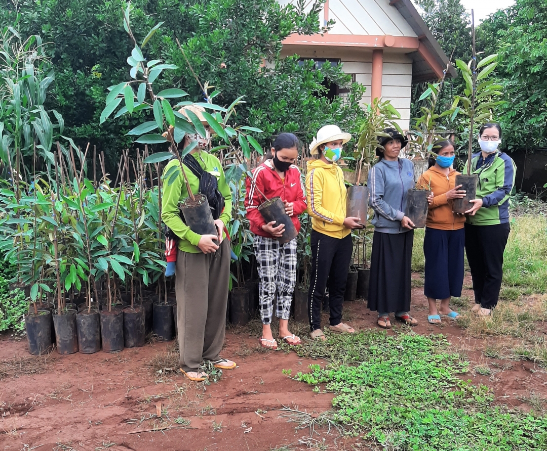Hội LHPN TX. Buôn Hồ hỗ trợ cây giống cho hội viên phụ nữ xã Cư Bao.