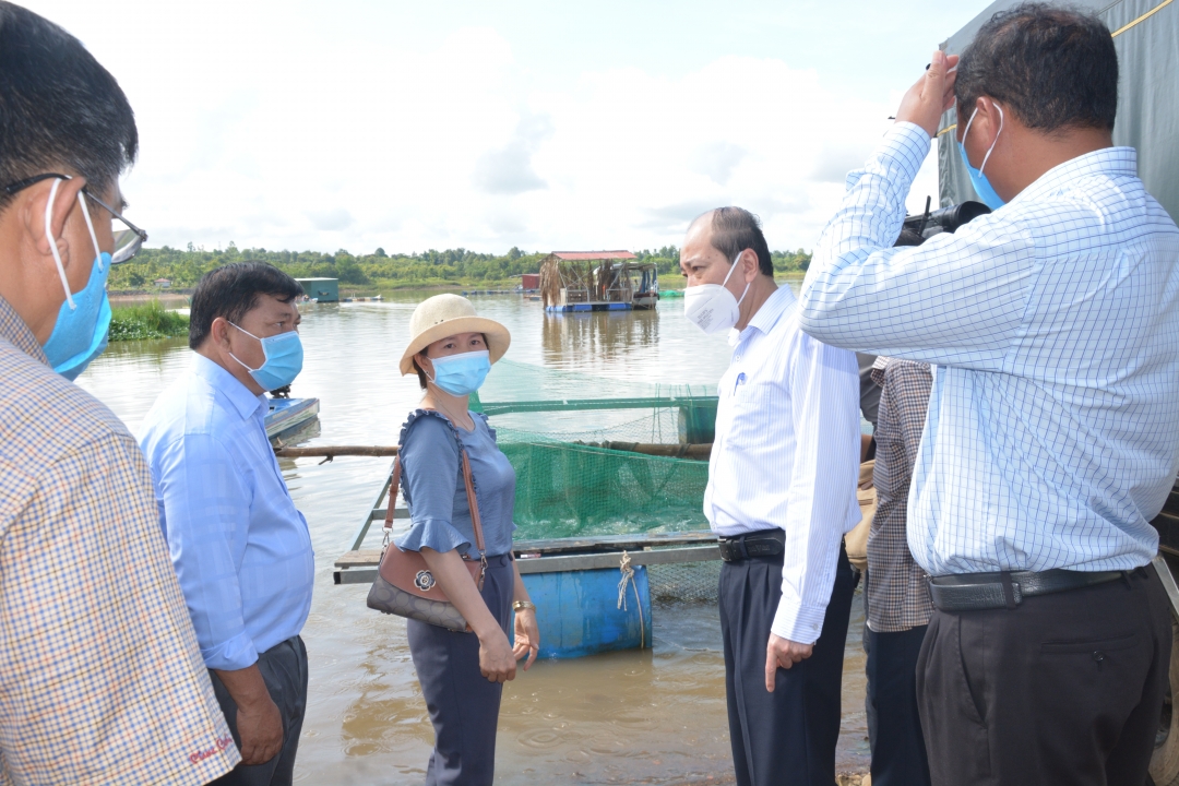 Đoàn công tác của UBND tỉnh tham quan mô hình nuôi cá trên sông Sêrêpốk ở xã Tân Hòa.  