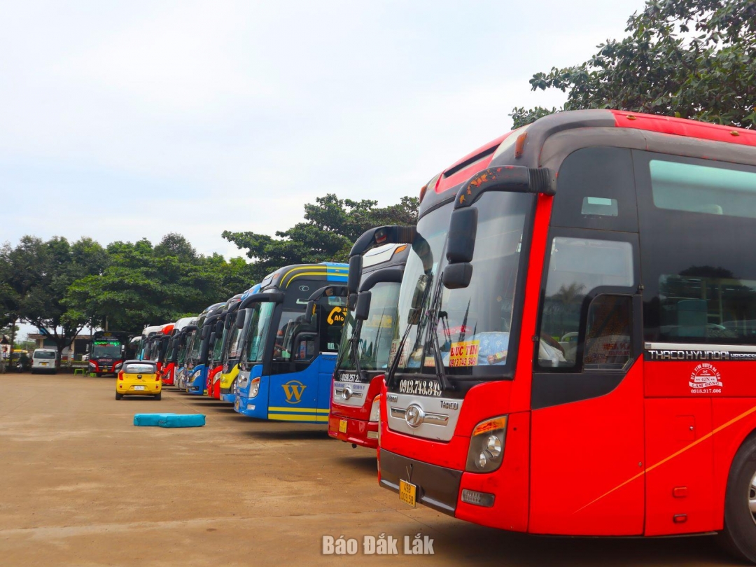 Phương tiện vận tải tại Bến xe liên tỉnh Đắk Lắk. 