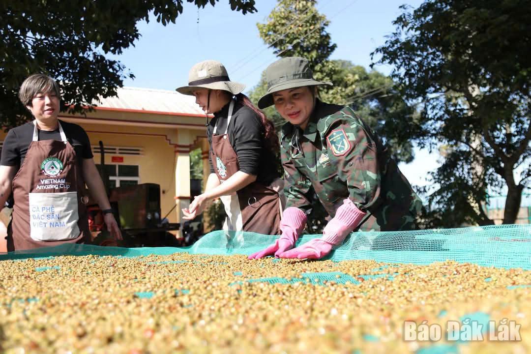 Sơ chế cà phê nhân mang CDĐL “Buôn Ma Thuột” được thực hiện theo quy định.