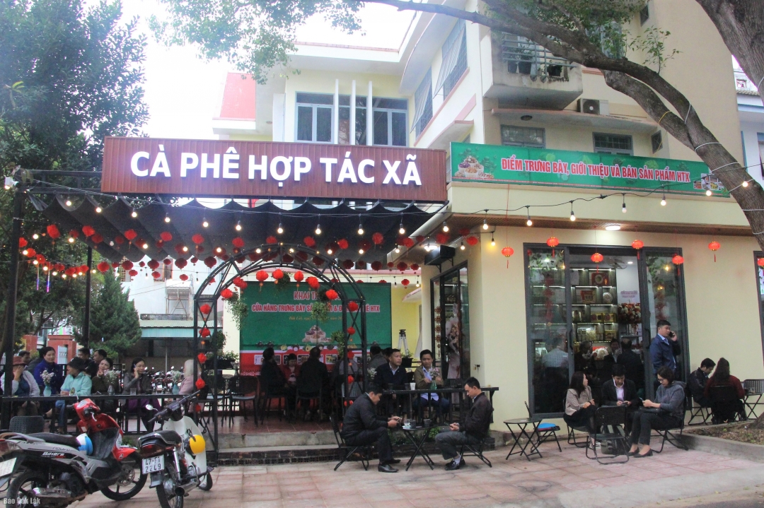 Cà phê hợp tác xã tại 60 Trần Nhật Duật (TP. Buôn Ma Thuột).