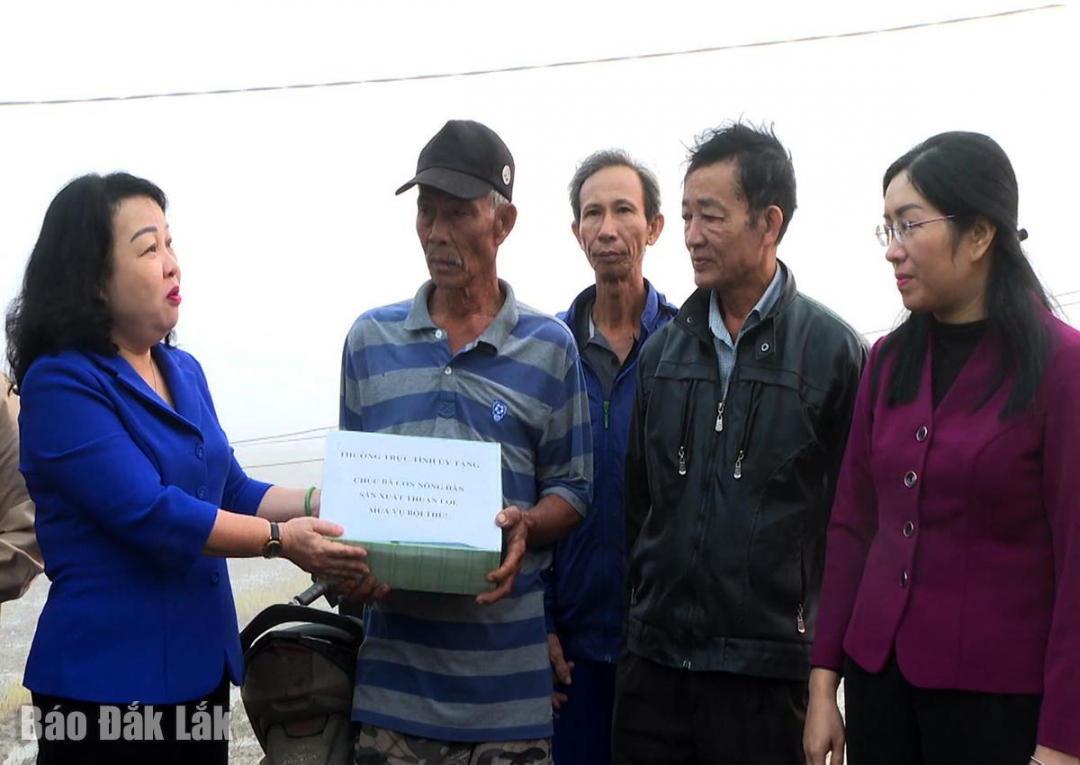 đồng chí Cao Thị Hòa An, Phó Bí thư Thường trực Tỉnh ủy, Chủ tịch HĐND tỉnh đã đến thăm hỏi động viên bà con nông dân xã Tuy An Tây.