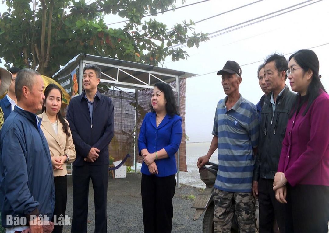 đồng chí Cao Thị Hòa An, Phó Bí thư Thường trực Tỉnh ủy, Chủ tịch HĐND tỉnh đã đến thăm hỏi động viên bà con nông dân xã Tuy An Tây.