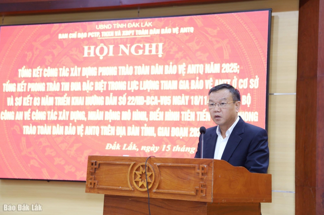 Đồng chí Đào Mỹ, Phó Chủ tịch UBND tỉnh, Trưởng Ban Chỉ đạo tỉnh phát biểu chỉ đạo hội nghị.