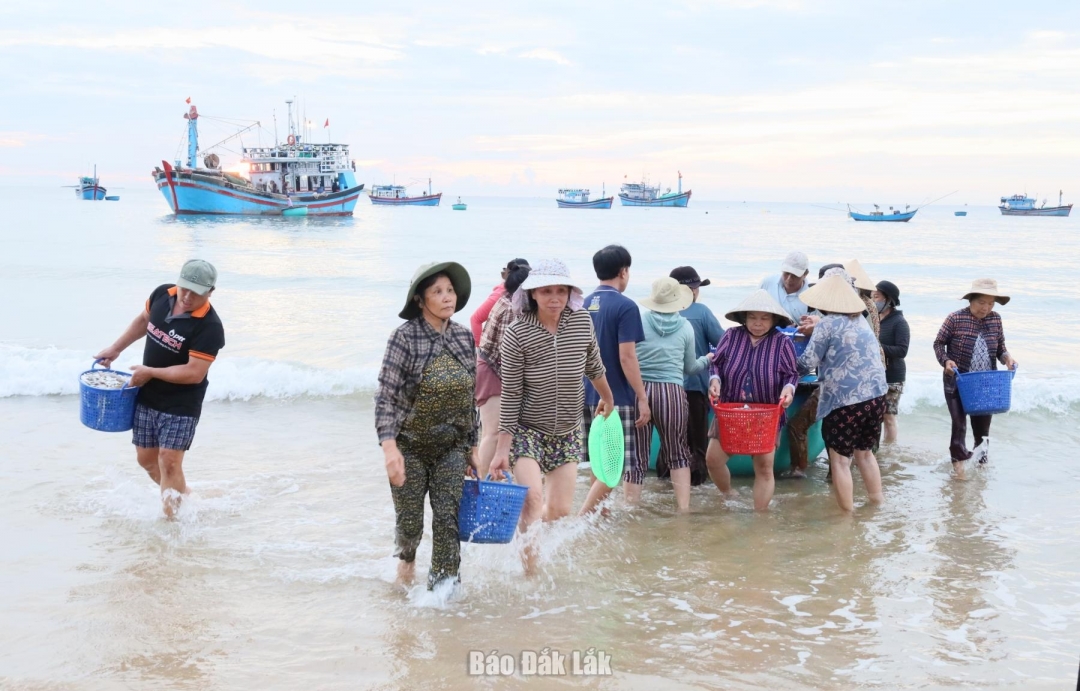 Nghề khai thác thủy sản tại khu vực làng chài Long Thủy.