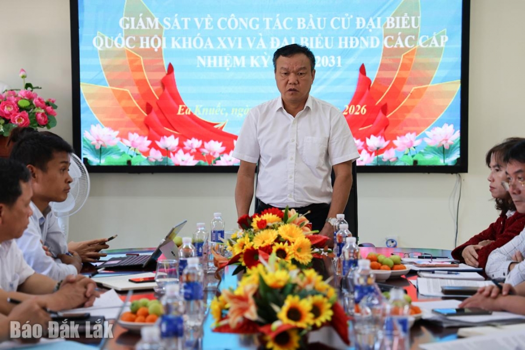 đồng chí Đào Mỹ, Tỉnh ủy viên, Phó Chủ tịch UBND tỉnh, Phó Chủ tịch UBBC tỉnh phát biểu chỉ đạo tại buổi làm việc.