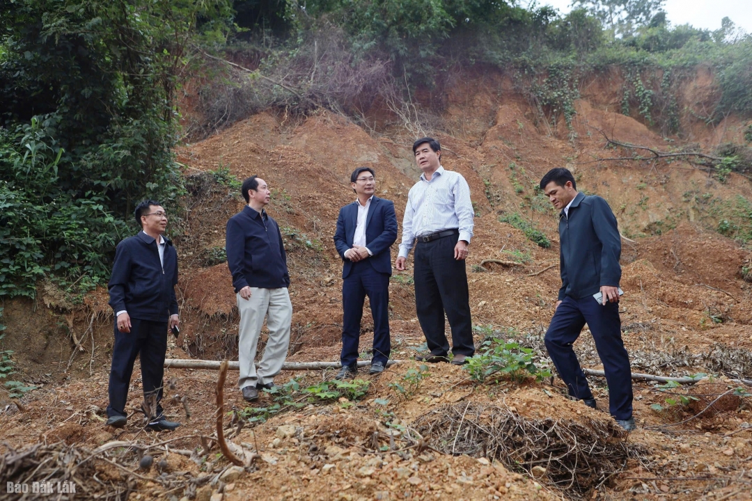 Kiểm tra thực địa