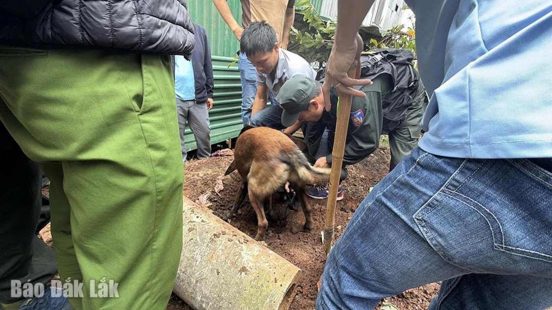 Lực lượng công an