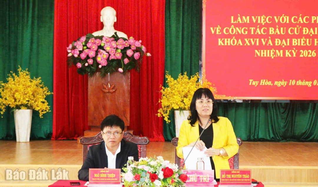 Đồng chí Hồ Thị Nguyên Thảo, Ủy viên Ban Thường vụ Tỉnh ủy, Phó Chủ tịch Thường trực UBND tỉnh phát biểu tại buổi làm việc.