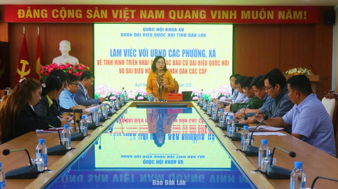 Tỉnh ủy viên, Phó Trưởng Đoàn ĐBQH tỉnh Nguyễn Thị Thu Nguyệt phát biểu kết luận buổi làm việc.