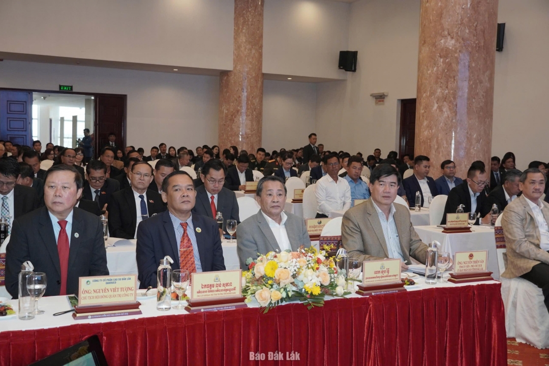 Các đại biểu dự hội nghị