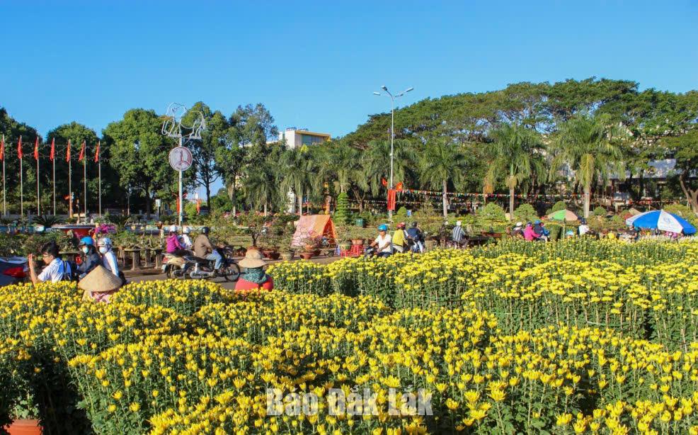 Hội hoa Xuân Bính Ngọ năm 2026 tại Quảng trường 10 tháng 3, phường Buôn Ma Thuột và Công viên Hồ điều hòa Hồ Sơn, phường Tuy Hòa 