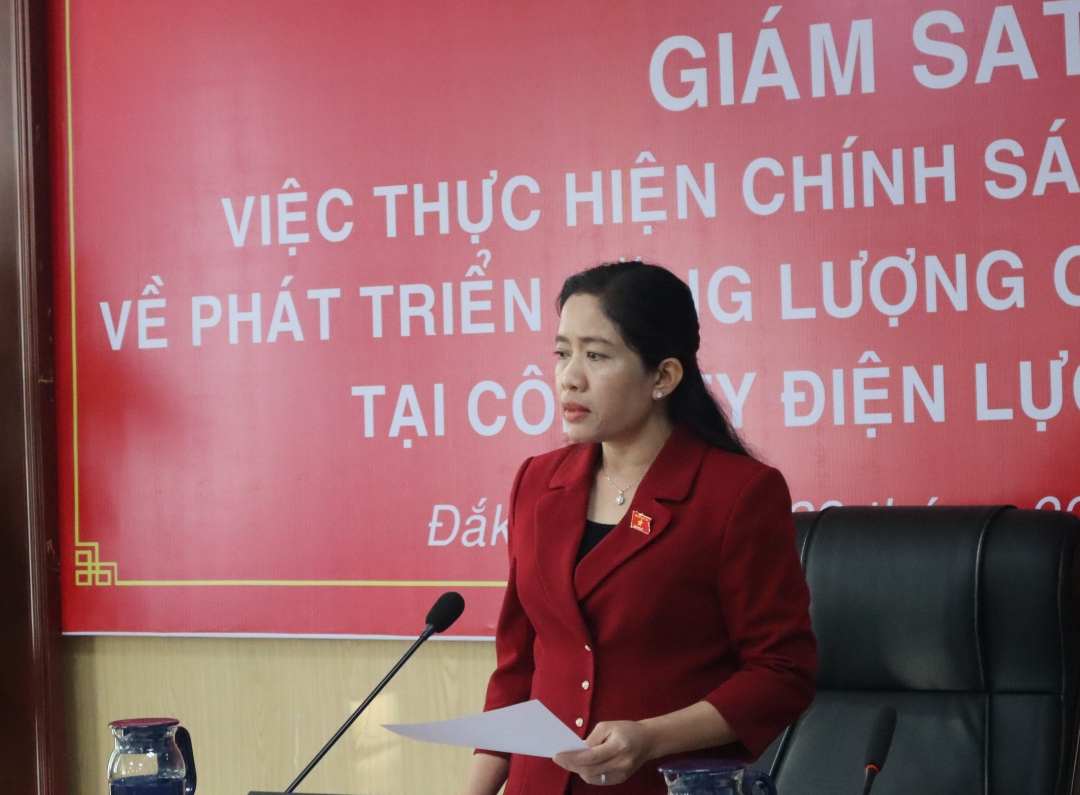 Trưởng đoàn Lê Thị Thanh Xuân phát biểu tại buổi giám sát.