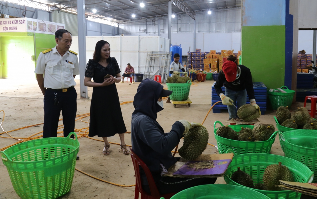 Chống thất thu ngân sách Nhà nước là một trong những giải pháp trong công tác thực hành tiết kiệm, chống lãng phí. Trong ảnh: Cán bộ thuế kiểm tra tại một cơ sở sản xuất trên địa bàn huyện Cư Mgar