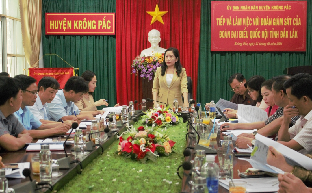 Phó Trưởng đoàn phụ trách Đoàn ĐBQH tỉnh, Trưởng Đoàn giám sát Lê Thị Thanh Xuân phát biểu kết luận buổi làm việc.