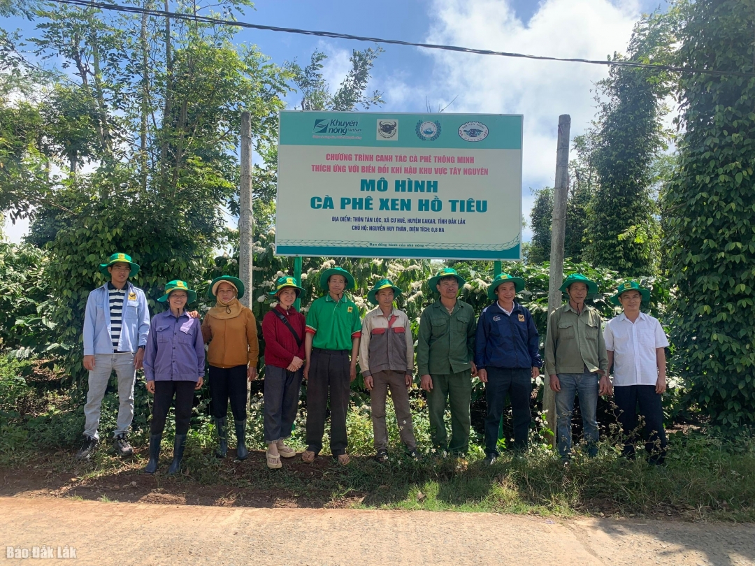 Mô hình canh tác cà phê thông minh thích ứng với biến đổi khí hậu tại hộ ông Nguyễn HUy Thân, huyện Ea Kar