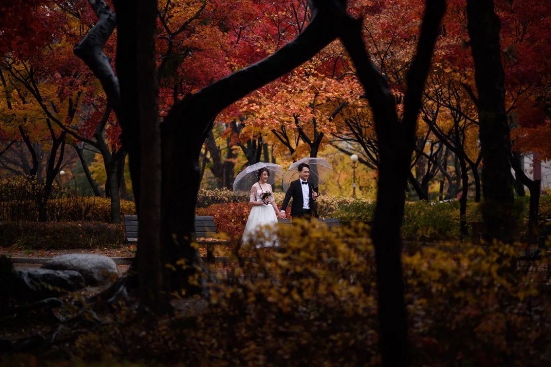 Cặp đôi tạo dáng chụp ảnh cưới tại một công viên ở Seoul. Ảnh: Getty Images