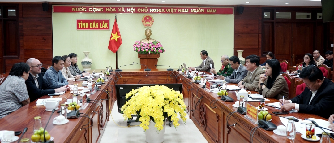 Đại biểu tham dự buổi làm việc