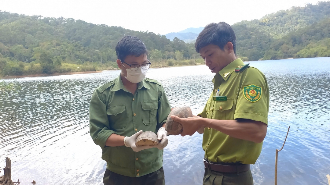 Kiểm tra các cá thể động vật hoang dã trước khi thả về rừng