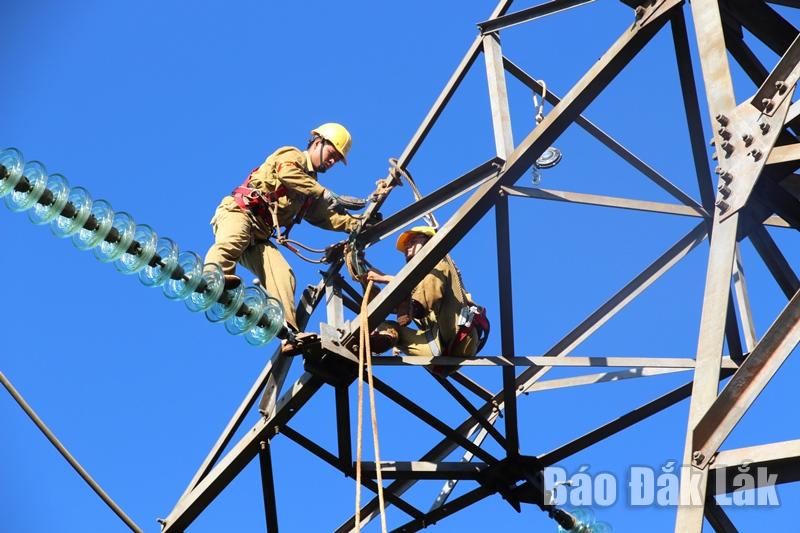 Công nhân Truyền tải điện Đắk Lắk kiểm tra, thay thế thiết bị trên đường dây đoạn qua xã Ea Hồ, huyện Krông Năng