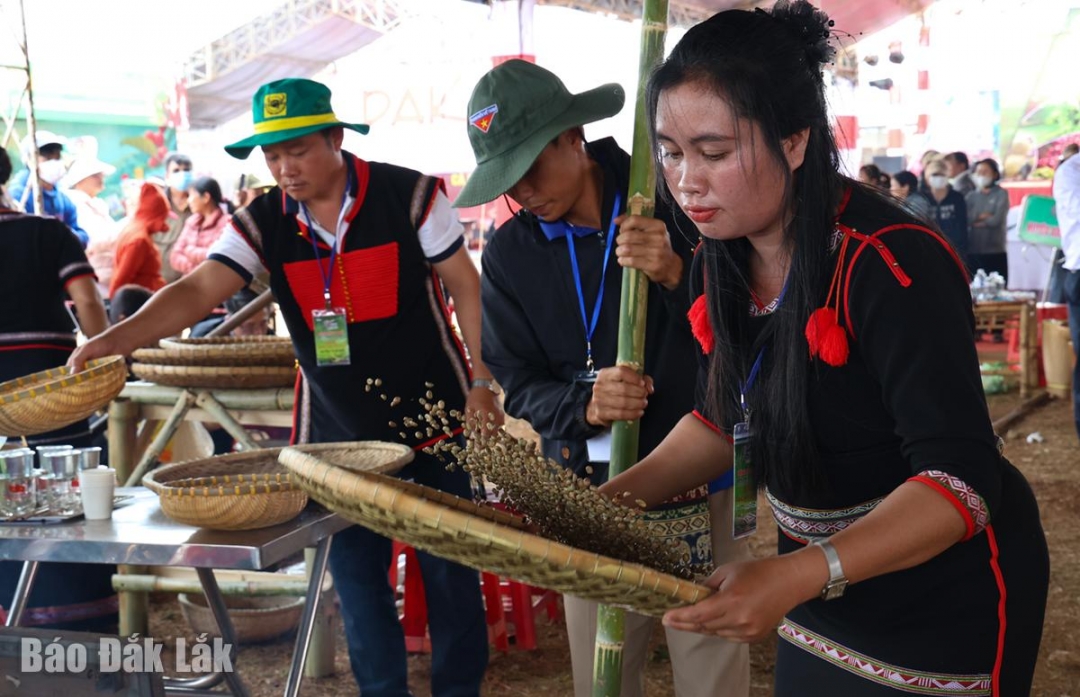 Sàng sảy kỹ để lấy hạt cà phê nhân sau khi giã.