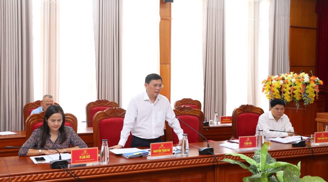 Phó Chủ tịch Thường trực UBND tỉnh Nguyễn Tuấn Hà đóng góp ý kiến tại hội nghị.