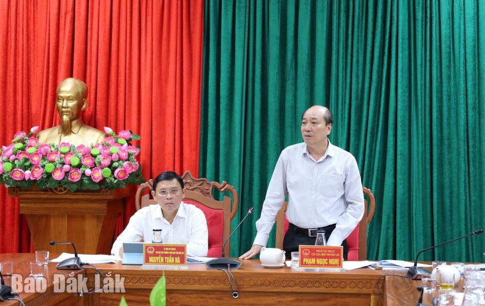 Chủ tịch UBND tỉnh Phạm Ngọc Nghị phát biểu chỉ đạo cuộc họp.