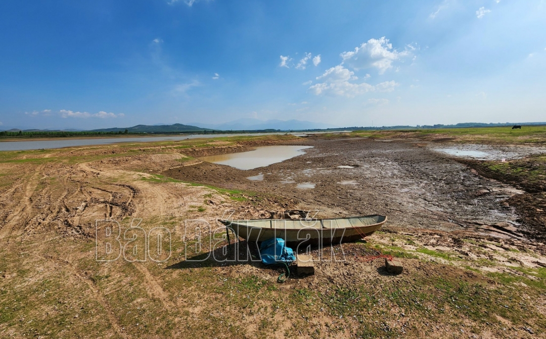 Hồ Vụ Bổn (xã Vụ Bổn, huyện Krông Pắc) đã xuống mực nước chết.