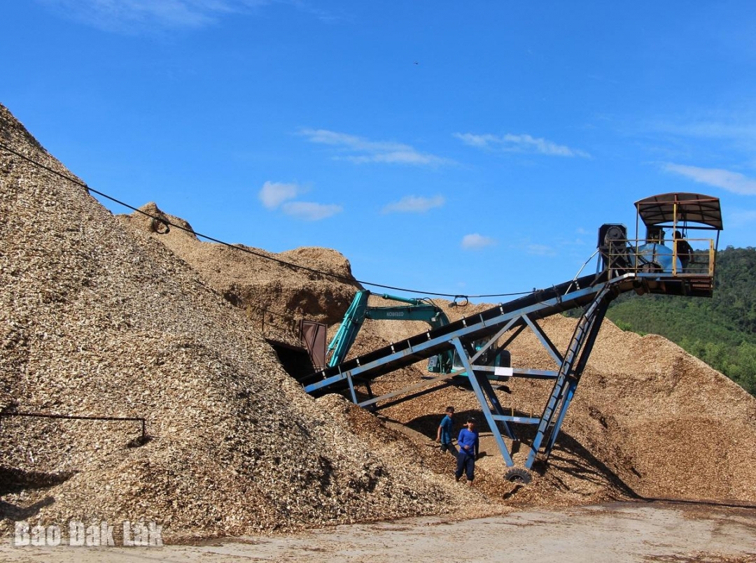 Một cơ sở chế biến dăm gỗ tại xã Cư Mta, huyện MDrắk