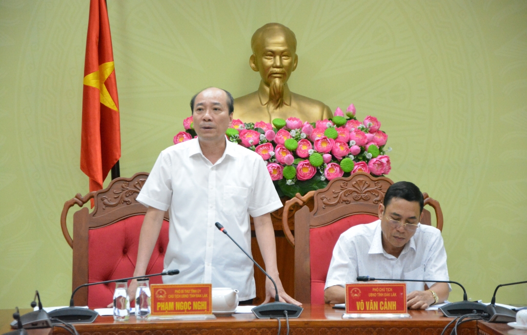 Chủ tịch UBND tỉnh Phạm Ngọc Nghị phát biểu kết luận tại cuộc họp.