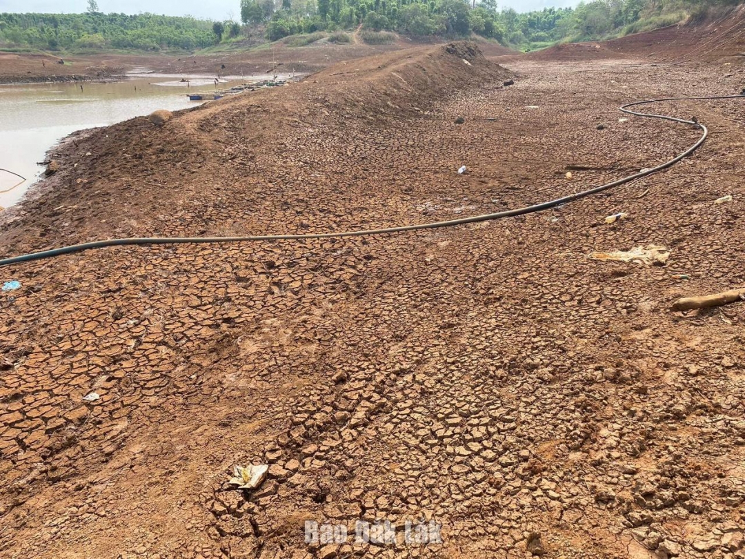 Đâp Ea Rếch, thôn Đoàn kết, xã Ea MDroh rơi vào tình trạng cạn nước.