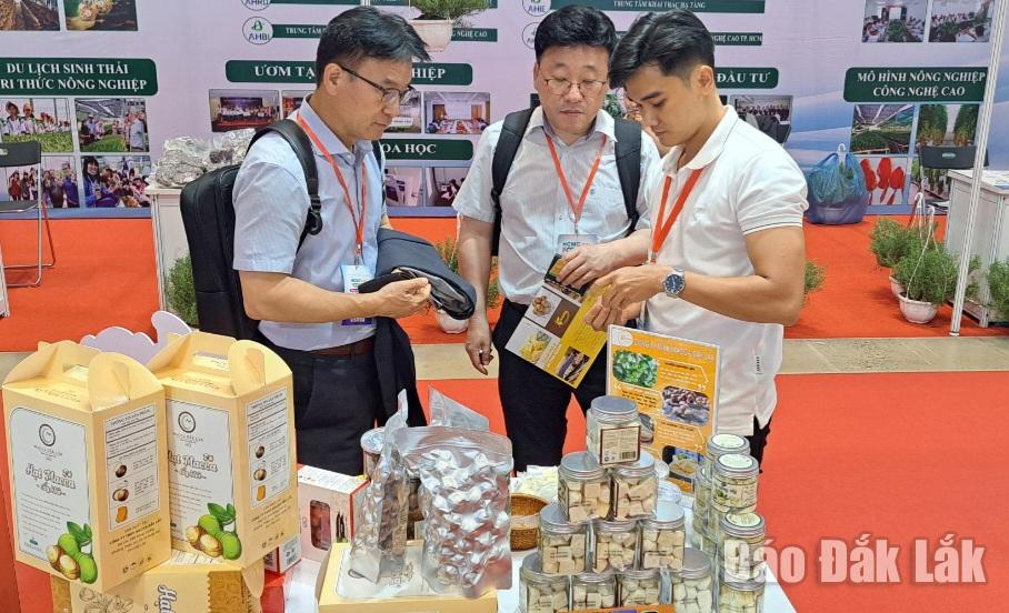 Khách hàng Hàn Quốc tìm hiểu về sản phẩm hạt mắc ca của doanh nghiệp Đắk Lắk.
