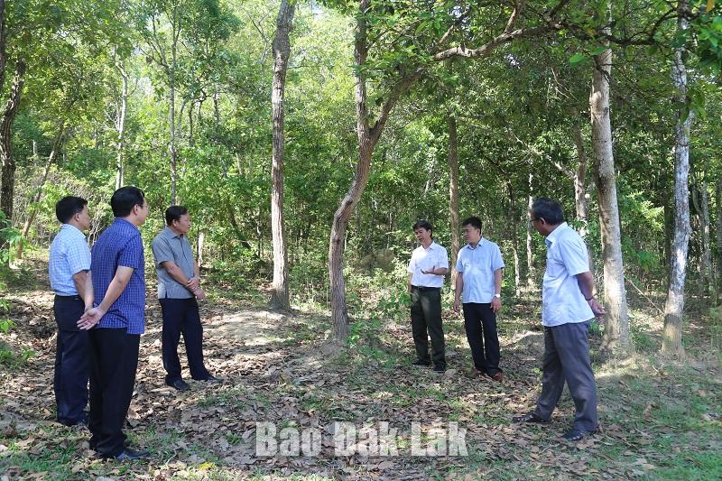 Đoàn giám sát thực tế tại Ban quản lý Rừng Lịch sử - Văn hoá - Môi trường Hồ Lắk